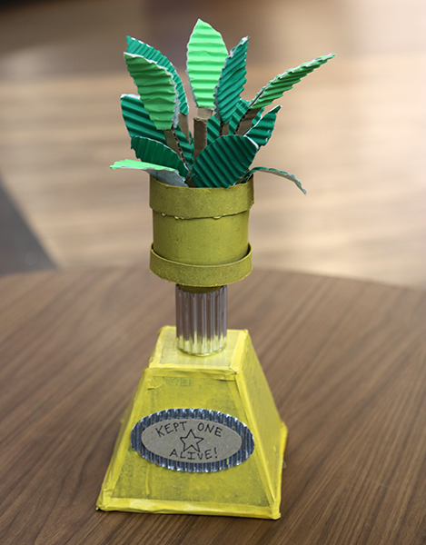 cardboard trophy of a plant
